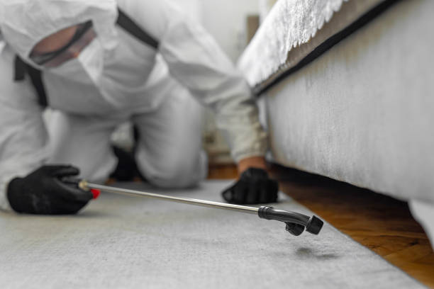 Professional Cockroach Control technician working in Northfield, IL